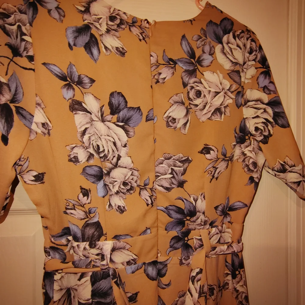 Sienna Sky Tan and Blue Floral Dress S New Nwot